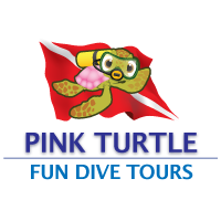 Pink Turtle Fun Dive Tours